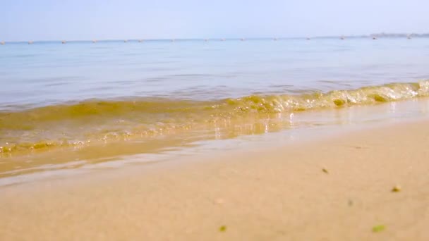 El agua sucia del mar es verde. Enfoque selectivo. — Vídeo de stock