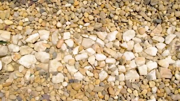 Texture of beautiful smooth stones a lot. Selective focus. — Stock Video