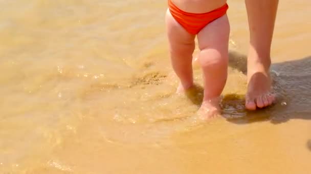 Mamma conduce il bambino lungo la spiaggia. focus selettivo. — Video Stock