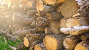 Kış için yakacak odun hazırlıyorum. Seçici odak.