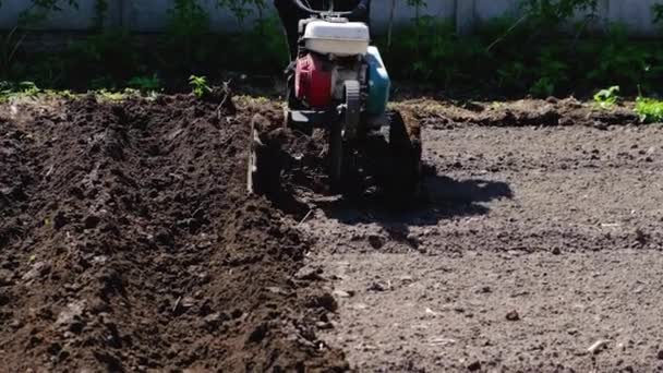 Křičí zeleninovou zahradu s pluhem s traktorem. Selektivní zaměření. — Stock video