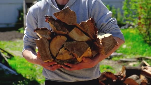 Preparation of firewood for the winter. Selective focus. — Stock Video