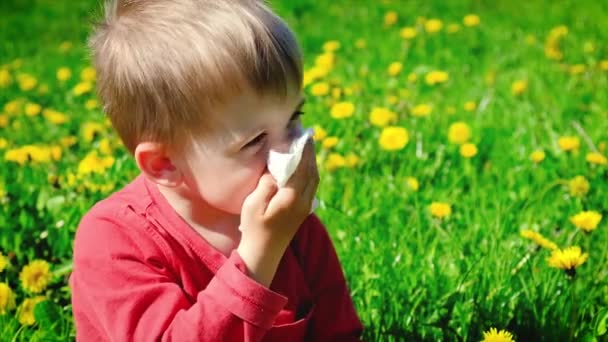 Το παιδί είναι αλλεργικό στα λουλούδια. Επιλεκτική εστίαση. — Αρχείο Βίντεο