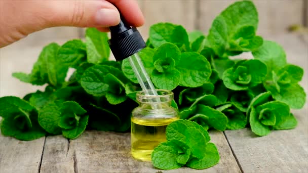 Olio essenziale ed estratto di menta in una piccola bottiglia. Focus selettivo. — Video Stock