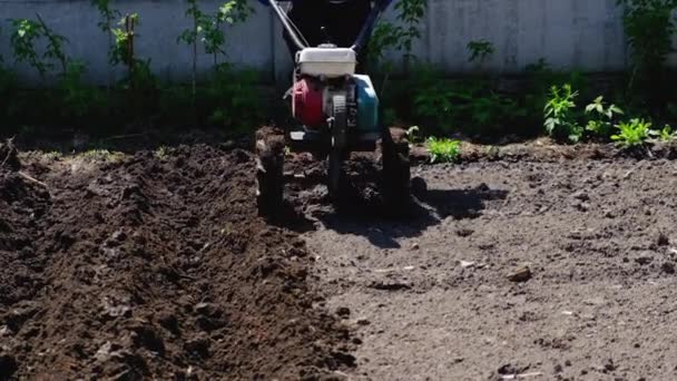トラクターで耕すと野菜の庭を撃つ。選択的焦点. — ストック動画