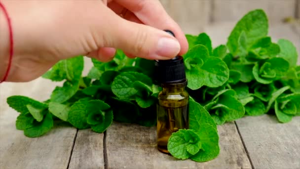 Aceite esencial y extracto de menta en una botella pequeña. Enfoque selectivo. — Vídeos de Stock