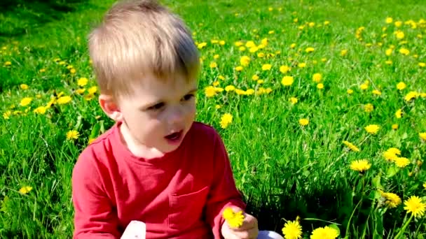 Barnet är allergisk mot blommor. Selektiv inriktning. — Stockvideo