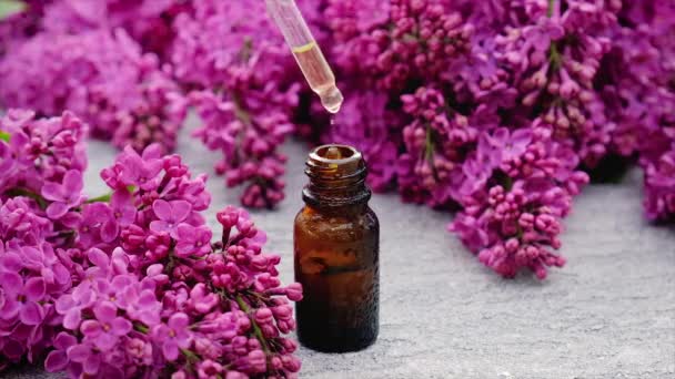 Etherische olie van lila en extract in een kleine fles. Selectieve focus. — Stockvideo