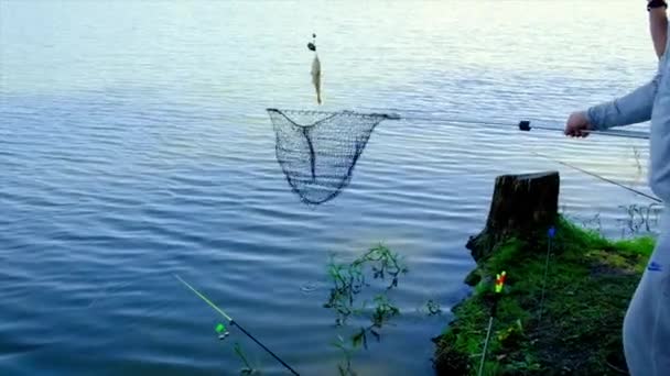 Fishermen fish on the lake. Selective focus. — Stock Video