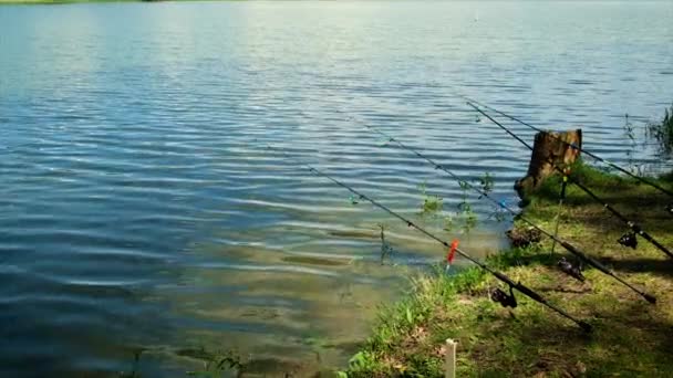 Des pêcheurs pêchent sur le lac. Concentration sélective. — Video