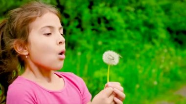 Çocuk doğada karahindiba üflüyor. Seçici odak.