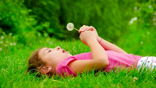 Bambino che soffia denti di leone in natura. Focus selettivo. — Video Stock