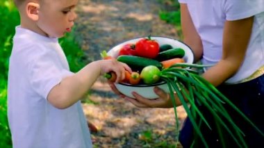 Çocuklar sebzeleri ellerinde tutarlar. Seçici odaklanma. Doğa.