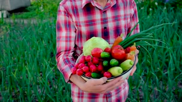 Un contadino tiene le verdure in mano. Focus selettivo. — Video Stock