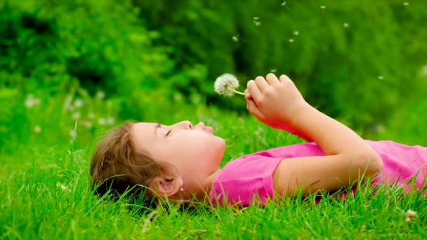 Παιδί φυσάει πικραλίδες στη φύση. Επιλεκτική εστίαση. — Αρχείο Βίντεο