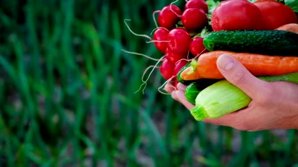 Père et fille tiennent des légumes dans leurs mains. Concentration sélective. — Video