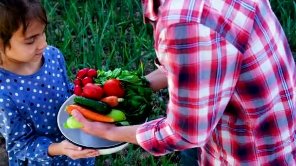 Vader en dochter houden groenten in hun handen. Selectieve focus. — Stockvideo