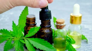 Kenevir küçük bir şişede özütülür. Seçici odak.