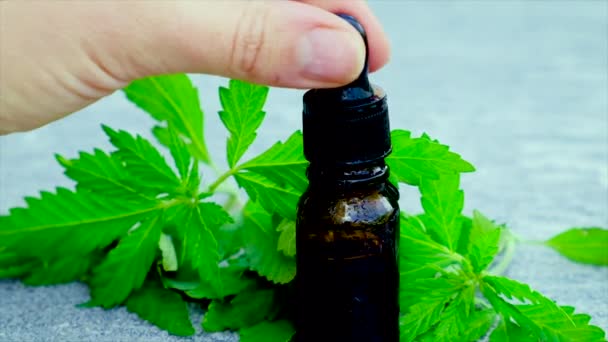 Cannabis extract in a small bottle. Selective focus. — Stock Video