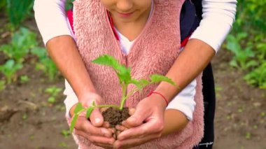 Baba ve çocuk bahçeye bir bitki ekiyorlar. Seçici odak.