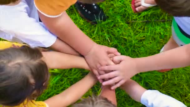 Los niños mantienen las manos juntas. Enfoque selectivo. — Vídeos de Stock