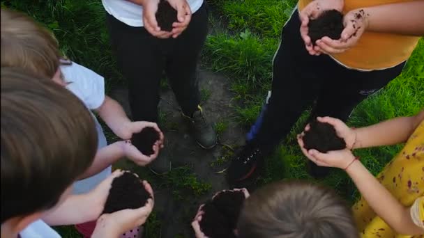 Dzieci trzymają rośliny w rękach. Skupienie selektywne. — Wideo stockowe