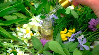 Homeopati, küçük bir şişedeki şifalı bitkilerin tentürü. Seçici odak.