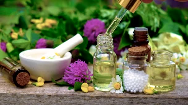 Homeopati adalah jaringan herbal obat dalam botol kecil. Fokus selektif. — Stok Video