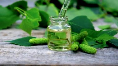 Birch bud küçük bir şişe içinde özüt. Seçici odak.