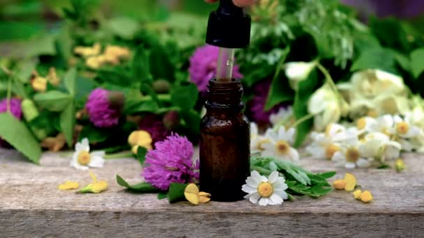 Homeopathie is een tinctuur van geneeskrachtige kruiden in een flesje. Selectieve focus. — Stockvideo