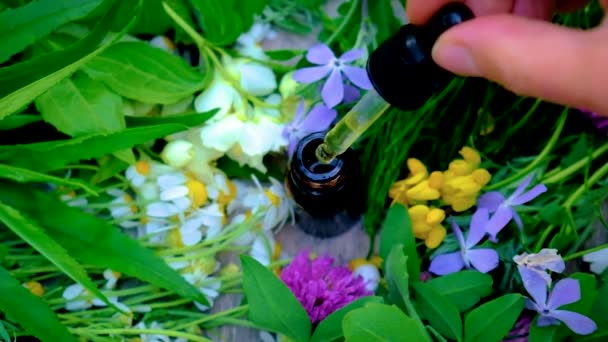 L'homéopathie est une teinture d'herbes médicinales dans une petite bouteille. Concentration sélective. — Video