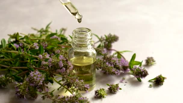 Aceite esencial de tomillo en una botella pequeña. Enfoque selectivo. — Vídeos de Stock