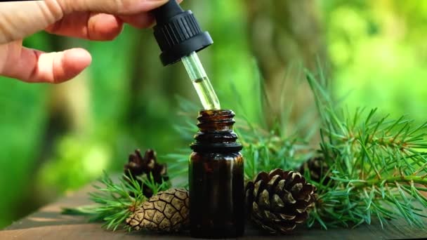 Spruce minyak esensial dalam botol kecil. Fokus selektif. — Stok Video