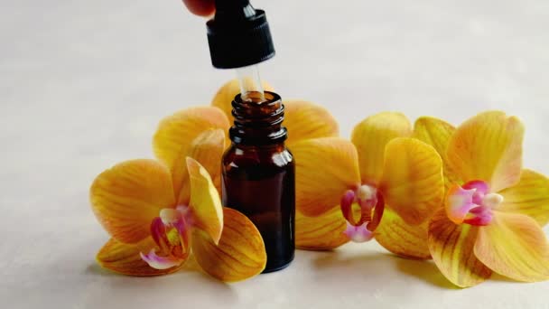 Orchid essential oil in a small bottle. Selective focus. — Stock Video