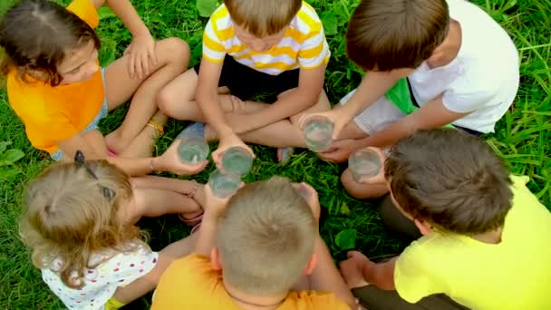 I bambini insieme bevono l'acqua da un bicchiere. Focus selettivo. — Video Stock