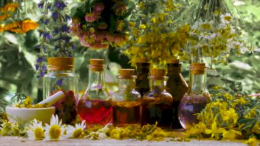 Şişe bitkisel tentür, homeopati. Seçici odak.
