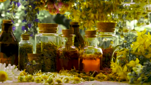 Palackozott gyógynövény tinktúra, homeopátia. Szelektív fókusz. — Stock videók