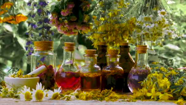 Bottled herbal tincture, homeopathy. Selective focus. — Stock Video