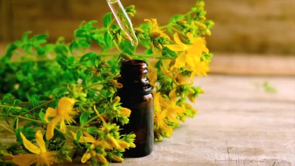 Extract and tincture of St. Johns wort in a small bottle. Selective focus. — Stock Video