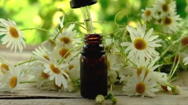 Papatya çayı özü ve tentürü küçük bir şişede. Seçici odak.