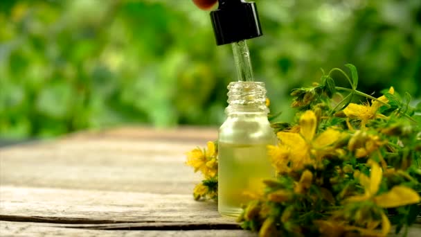 Ekstrak dan kepingan St. Johns wort dalam botol kecil. Fokus selektif. — Stok Video