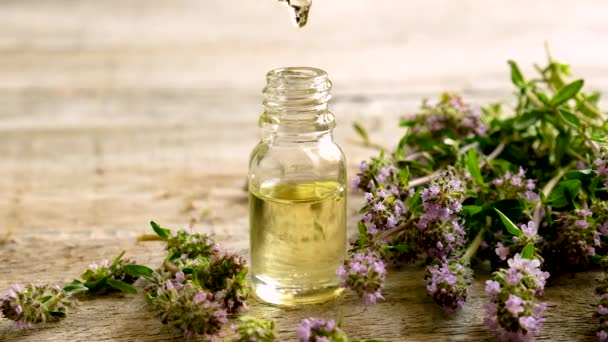 Aceite esencial de tomillo en una botella pequeña. Enfoque selectivo. — Vídeos de Stock