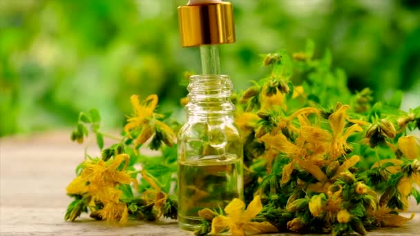 Extract and tincture of St. Johns wort in a small bottle. Selective focus. — Stock Video