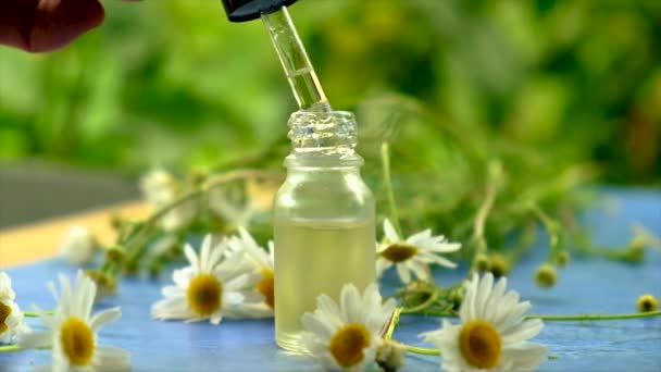 Extract and tincture of chamomile in a small bottle. Selective focus. — Stock Video