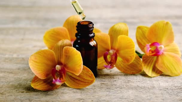 Orchid essential oil in a small bottle. Selective focus. — Stock Video