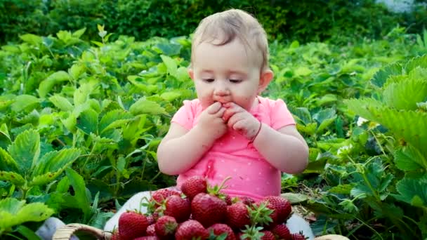 Baby eet aardbeien in de tuin. Selectieve focus. — Stockvideo