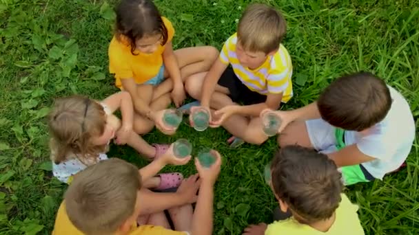 Les enfants boivent ensemble l'eau du verre. Concentration sélective. — Video