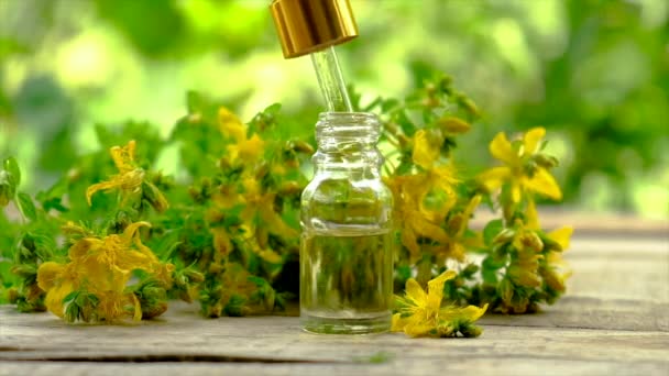 Ekstrak dan kepingan St. Johns wort dalam botol kecil. Fokus selektif. — Stok Video