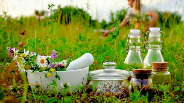 Eine Frau sammelt auf dem Feld Heilblumen und Kräuter. Selektiver Fokus. — Stockvideo