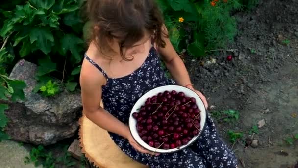 Dítě jí třešně na zahradě. Selektivní zaměření. — Stock video